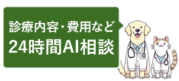 chat bot banner